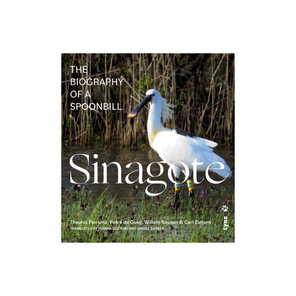 Produktbild för Sinagote, the biography of a spoonbill (häftad, eng)