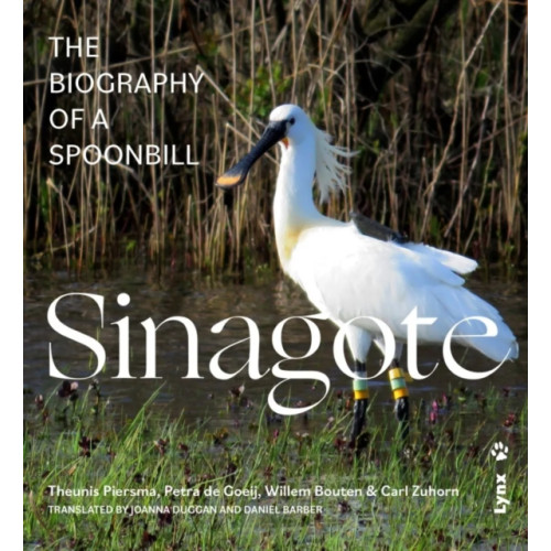 Alada Books, S.L. Sinagote, the biography of a spoonbill (häftad, eng)
