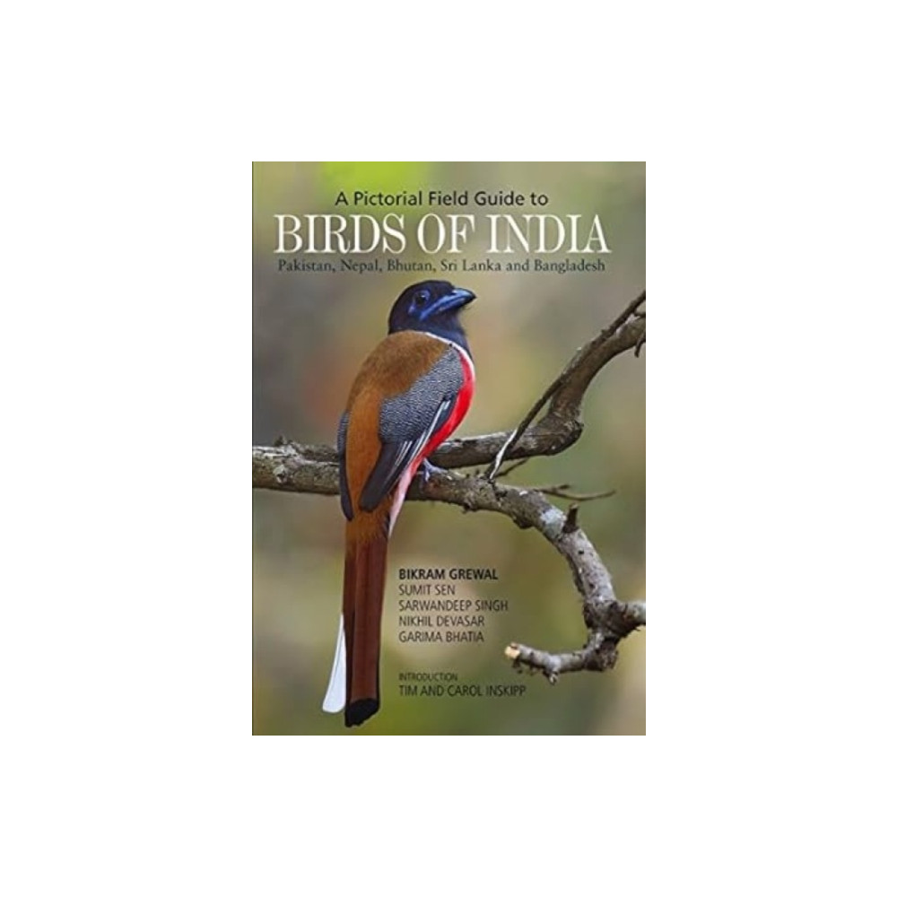 Produktbild för Birds of India (häftad, eng)