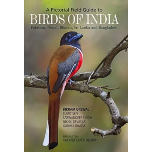 Om Publications Birds of India (häftad, eng)
