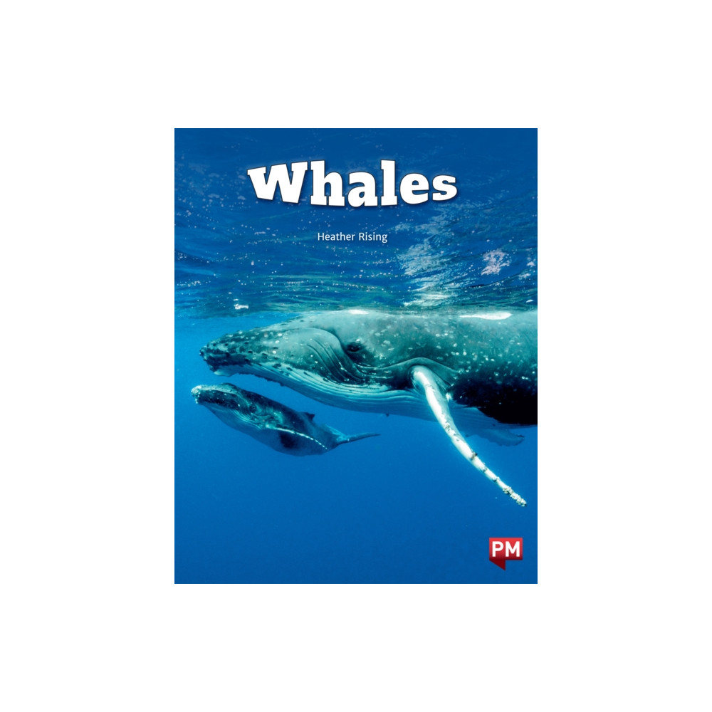 Produktbild för Whales Level 24 X6 (häftad, eng)