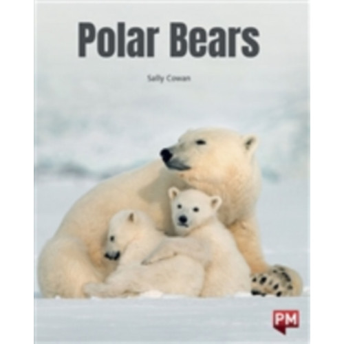 SCHOLASTIC LTD Polar Bears (häftad, eng)