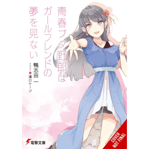 Little, Brown & Company Rascal Does Not Dream of His Girlfriend (light novel) (häftad, eng)