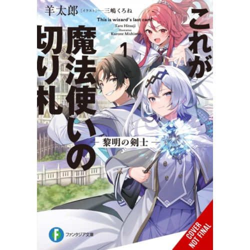 Little, Brown & Company This Is the Wizard’s Secret Weapon, Vol. 1 (light novel) (häftad, eng)
