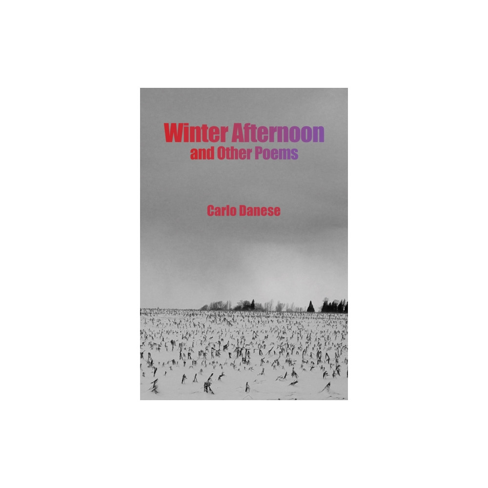 Produktbild för Winter Afternoon and Other Poems (häftad, eng)