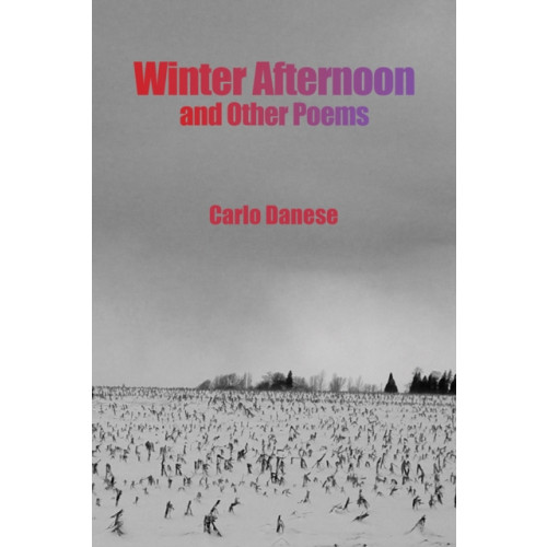 Austin Macauley Publishers LLC Winter Afternoon and Other Poems (häftad, eng)