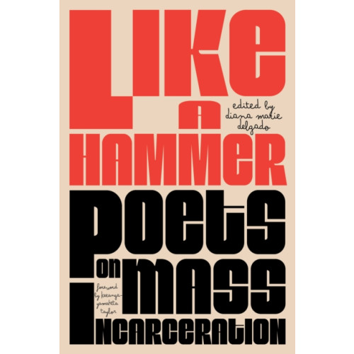 Haymarket Books Like a Hammer (häftad, eng)