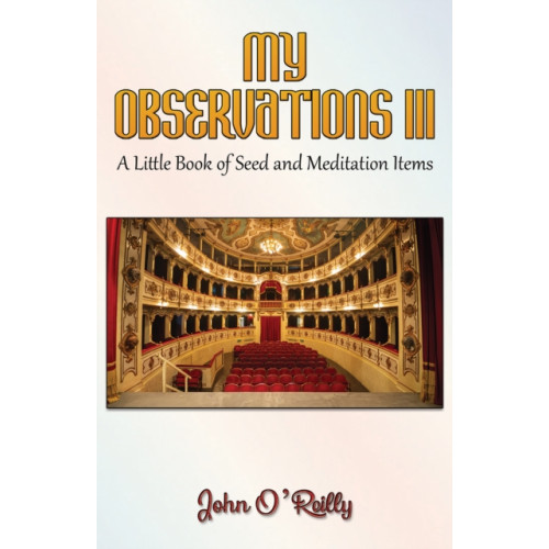 Austin Macauley Publishers LLC My Observations III (häftad, eng)