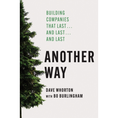 Harvard Business Review Press Another Way (inbunden, eng)