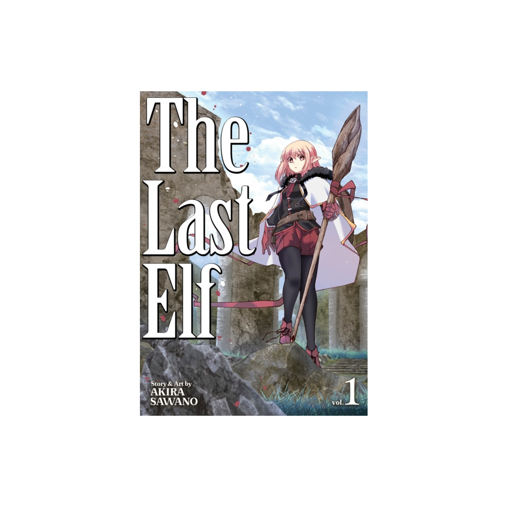Produktbild för The Last Elf Vol. 1 (häftad, eng)