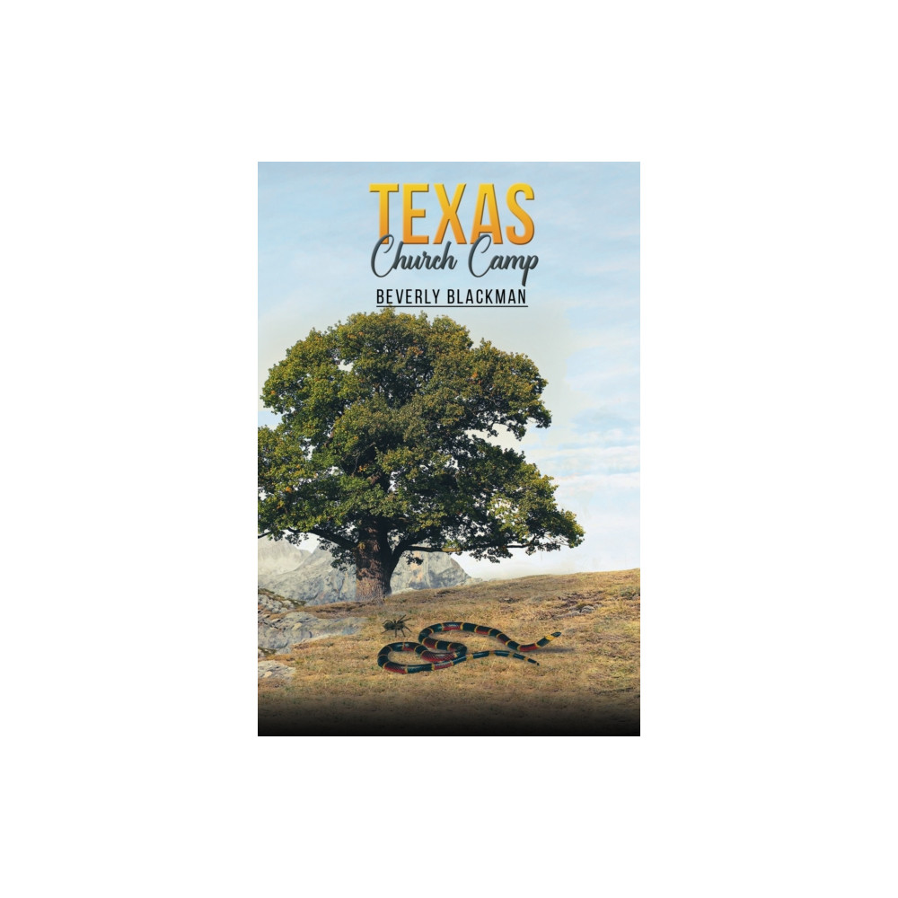 Produktbild för Texas Church Camp (häftad, eng)