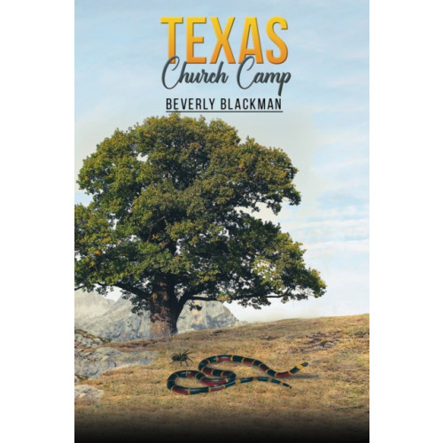 Austin Macauley Publishers LLC Texas Church Camp (häftad, eng)