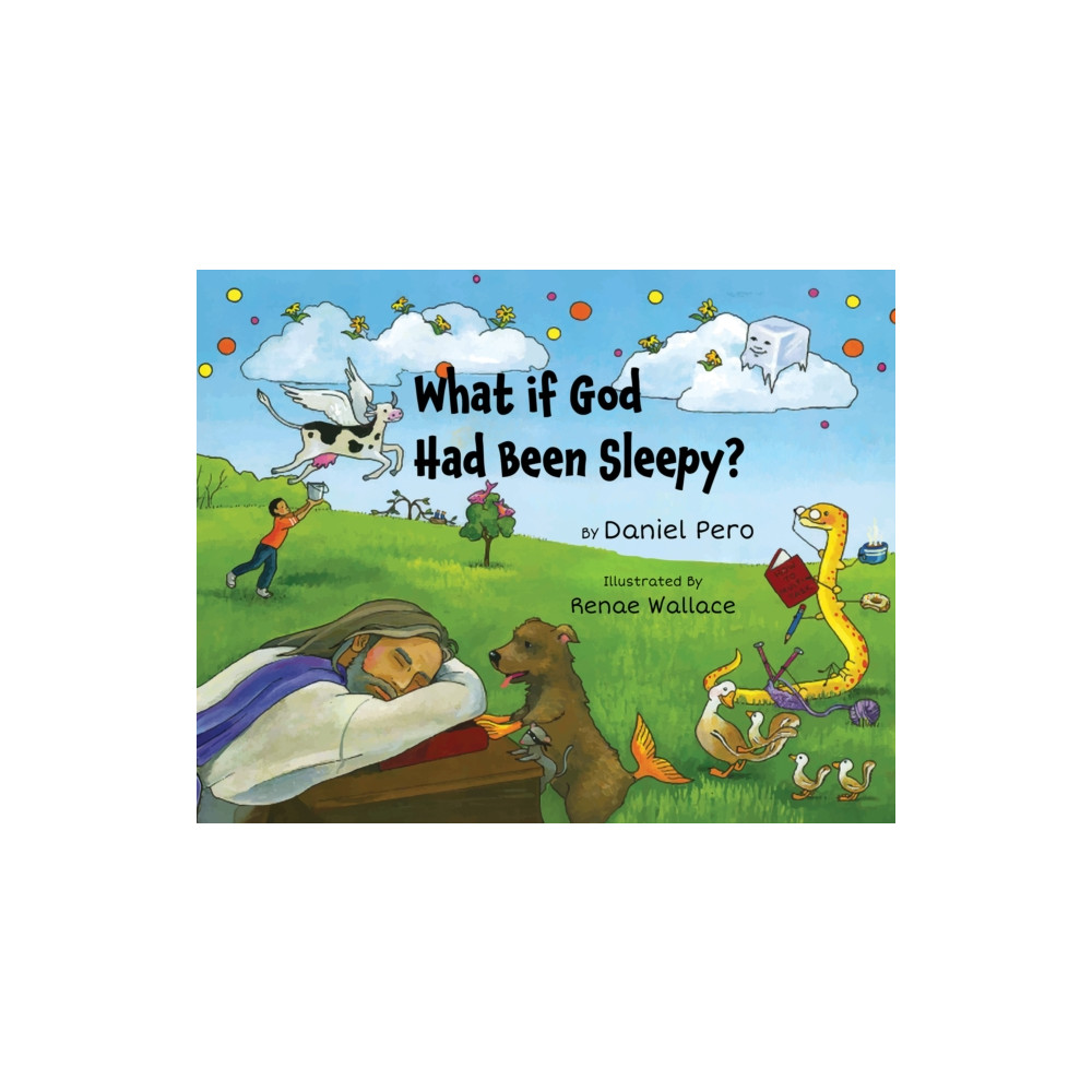 Produktbild för What if God Had Been Sleepy? (häftad, eng)