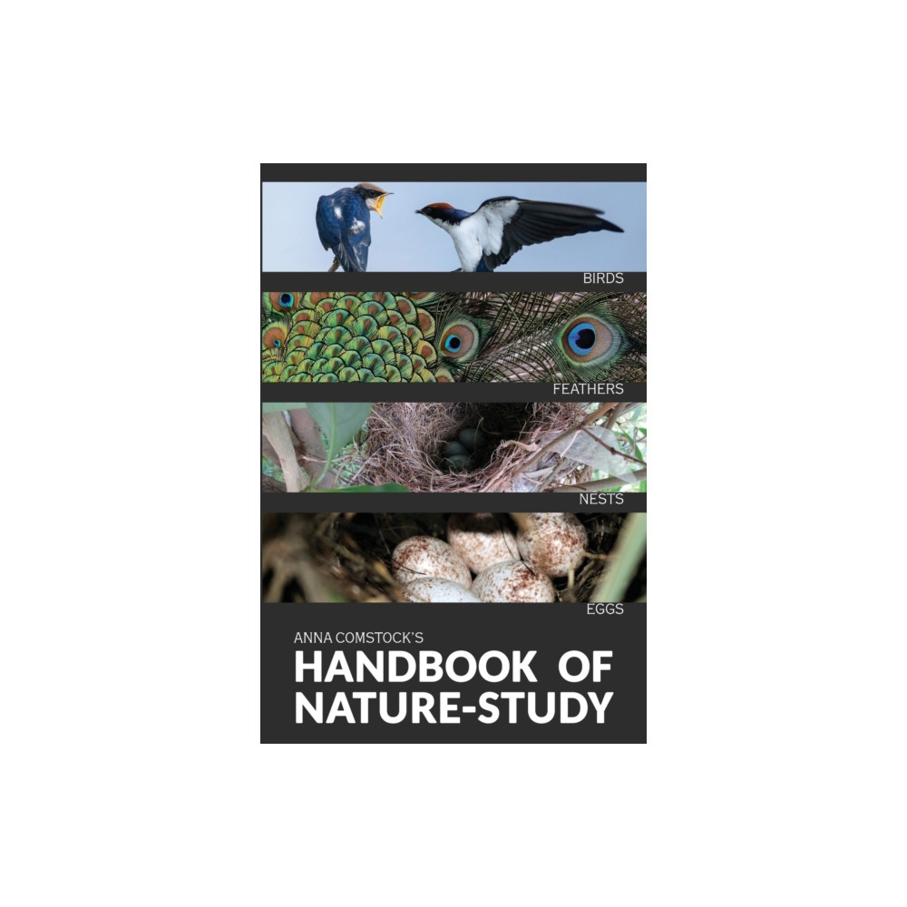 Produktbild för The Handbook Of Nature Study in Color - Birds (häftad, eng)