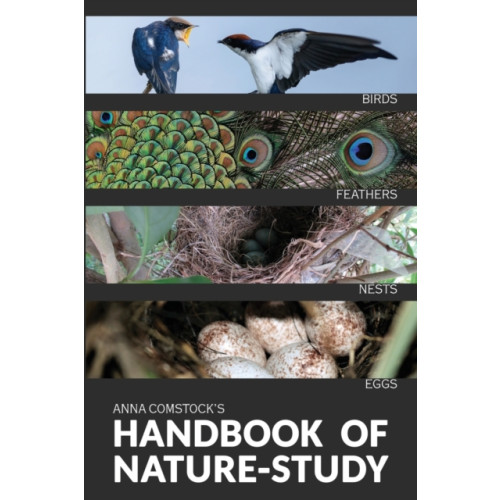 Living Book Press The Handbook Of Nature Study in Color - Birds (häftad, eng)