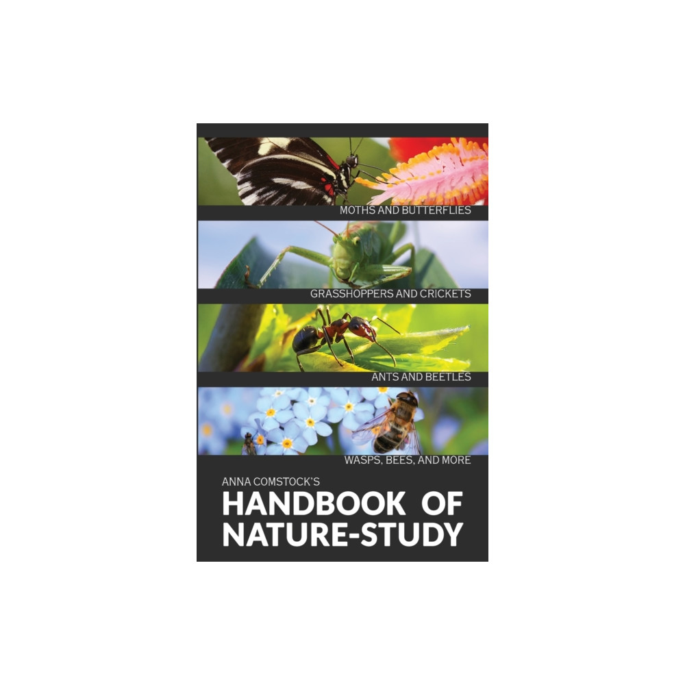Produktbild för The Handbook Of Nature Study in Color - Insects (häftad, eng)