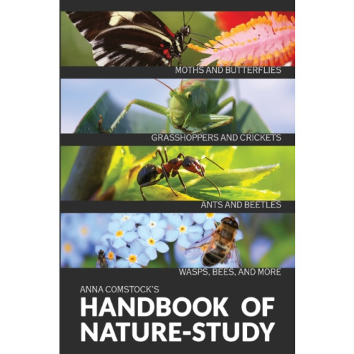 Living Book Press The Handbook Of Nature Study in Color - Insects (häftad, eng)