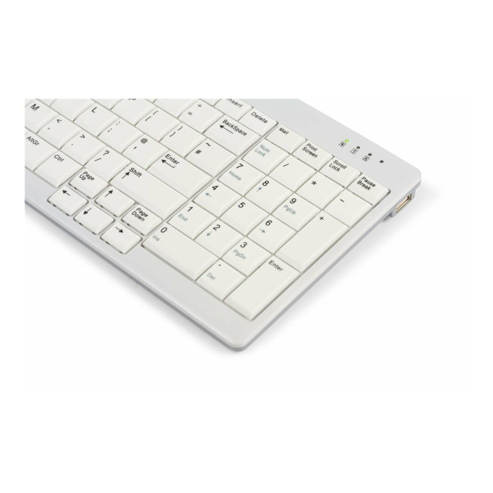 Produktbild för Bakker Elkhuizen UltraBoard 960 V2 - tangentbord compact - QWERTZ - tysk - mörkgrå, ljusgrå Inmatningsenhet