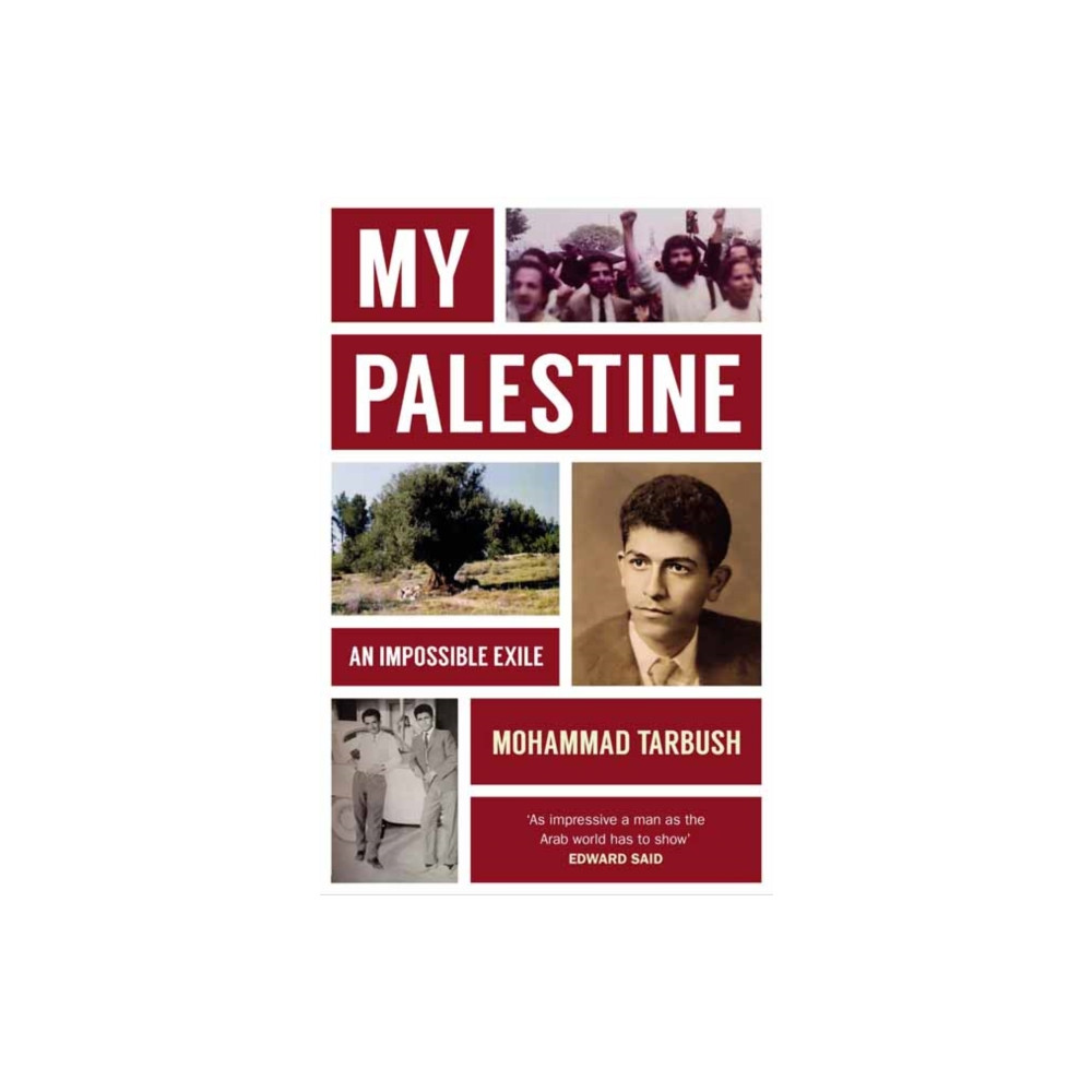 Produktbild för My Palestine (häftad, eng)