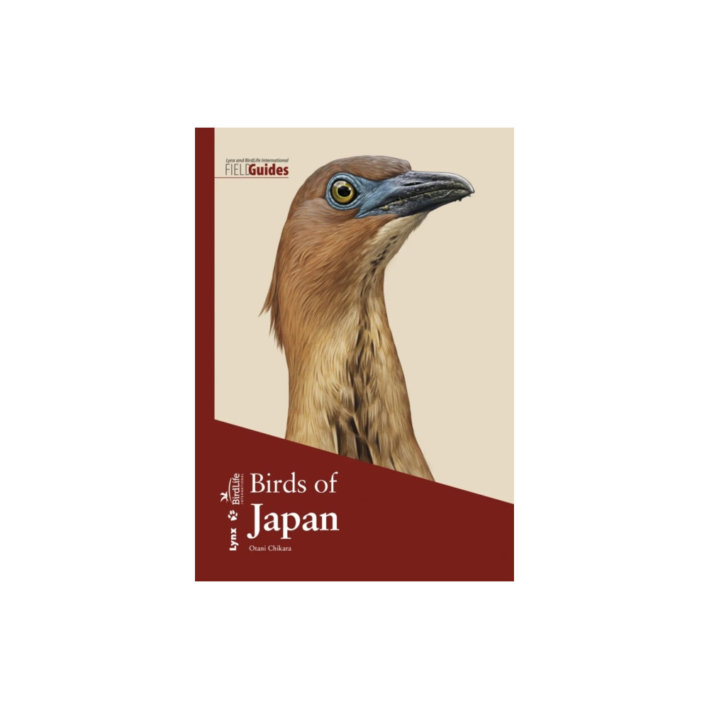 Produktbild för Birds of Japan (häftad, eng)