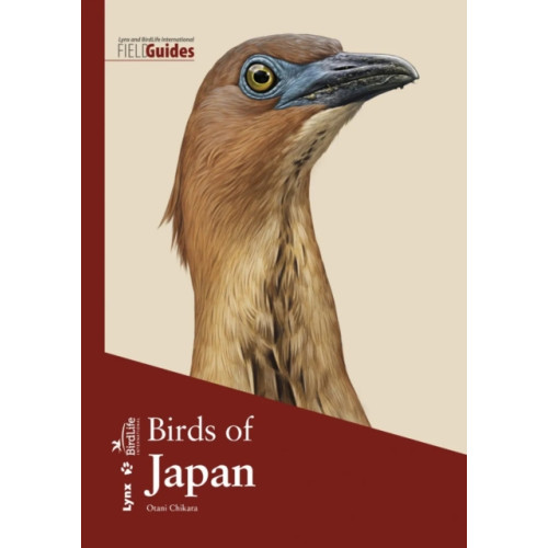 Alada Books, S.L. Birds of Japan (häftad, eng)