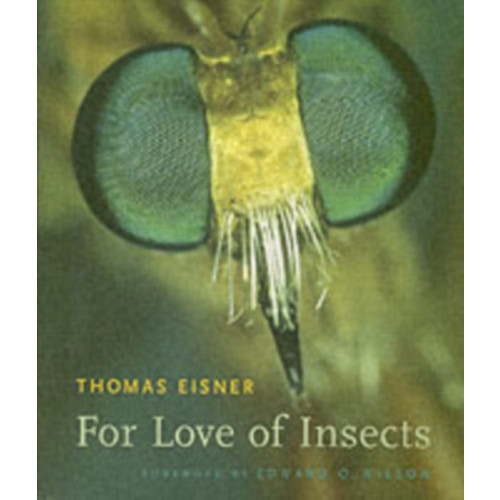 Harvard university press For Love of Insects (häftad, eng)
