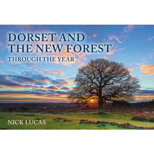 Amberley Publishing Dorset and the New Forest Through the Year (häftad, eng)