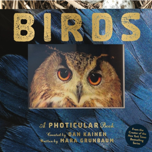 Workman Publishing Birds (inbunden, eng)