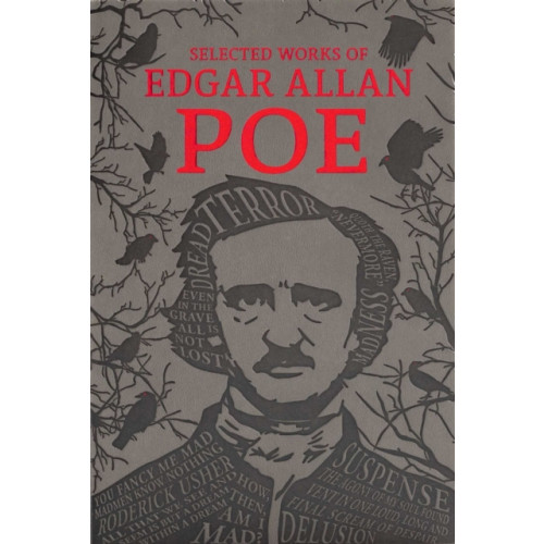 Canterbury Classics The Selected Works of Edgar Allan Poe (häftad, eng)