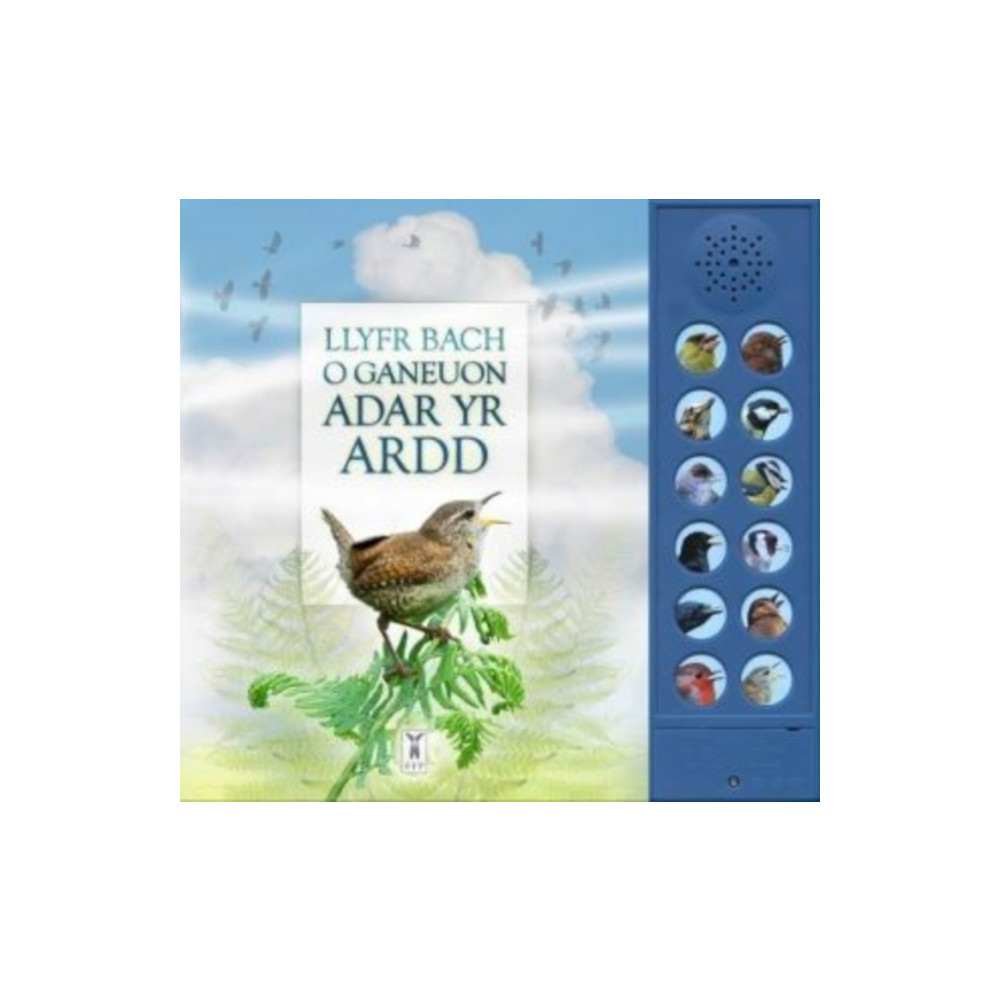 Produktbild för LLYFR BACH O GANEUON ADAR YR ARDD (bok, board book, wel)