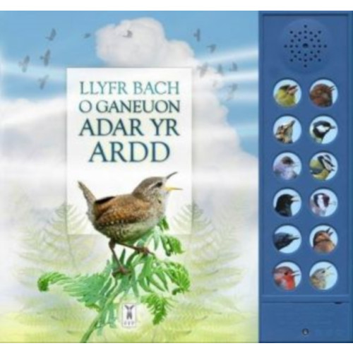 Fine Feather Press Ltd LLYFR BACH O GANEUON ADAR YR ARDD (bok, board book, wel)