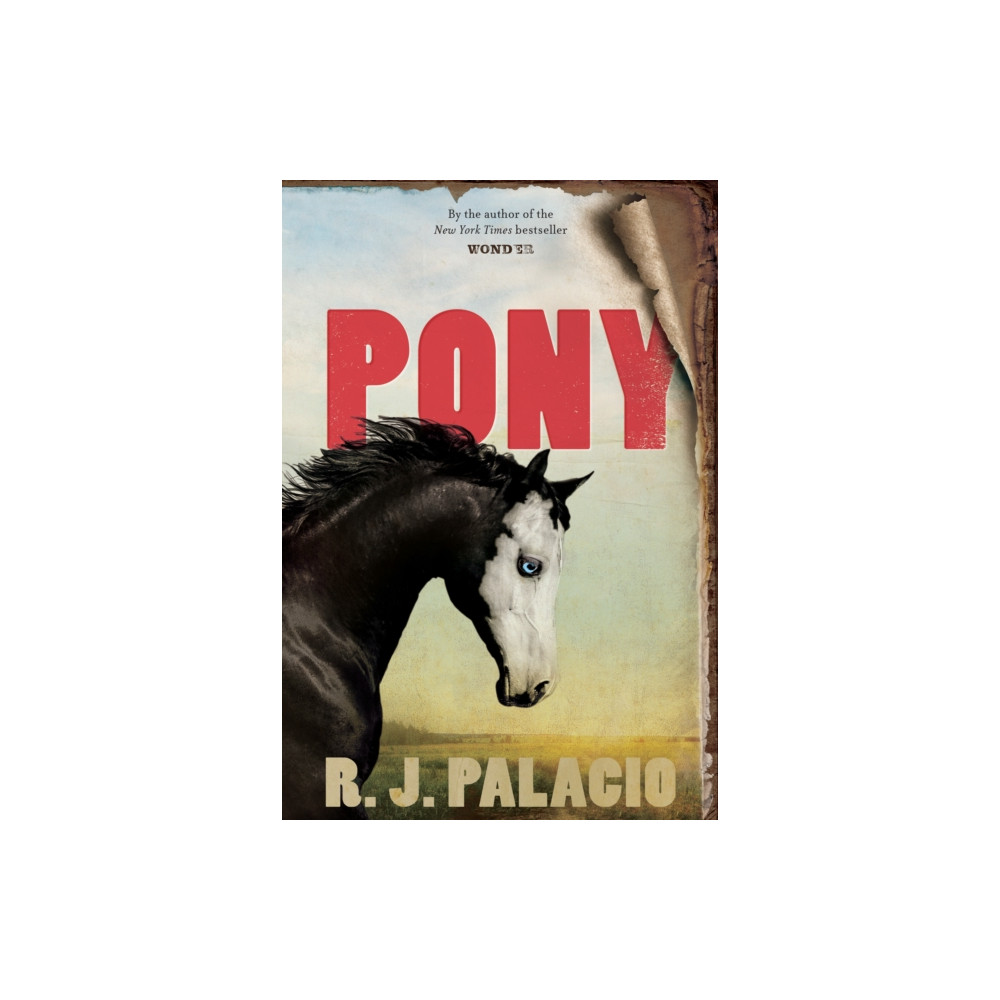 Produktbild för Pony (häftad, eng)