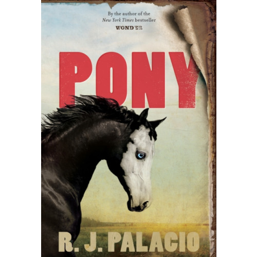 Not Stated Pony (häftad, eng)