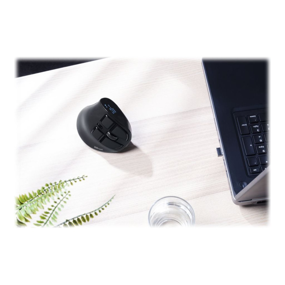 Produktbild för Trust Voxx - vertikal mus - Bluetooth, 2.4 GHz