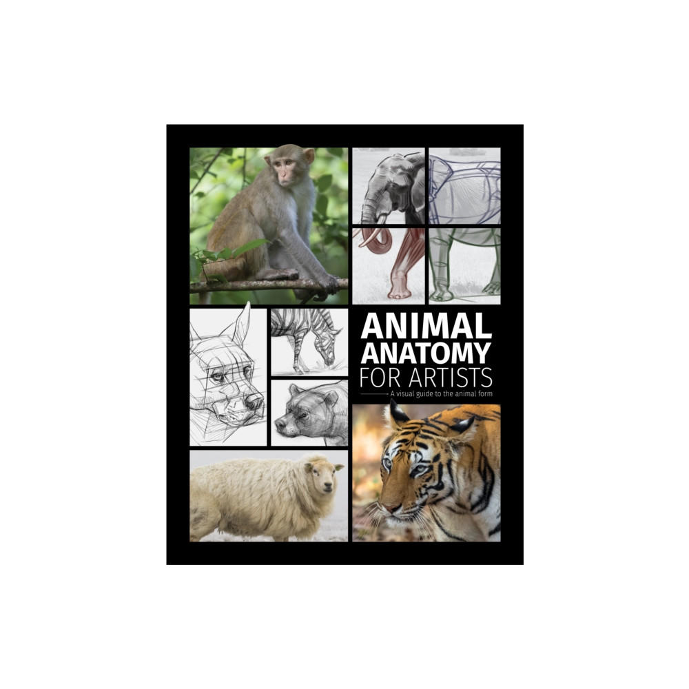 Produktbild för Animal Anatomy for Artists (inbunden, eng)