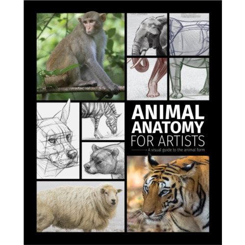 3DTotal Publishing Ltd Animal Anatomy for Artists (inbunden, eng)