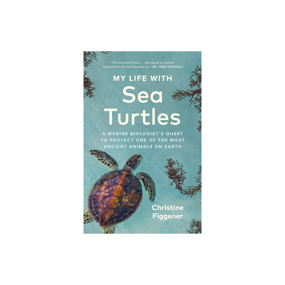 Produktbild för My Life with Sea Turtles (häftad, eng)