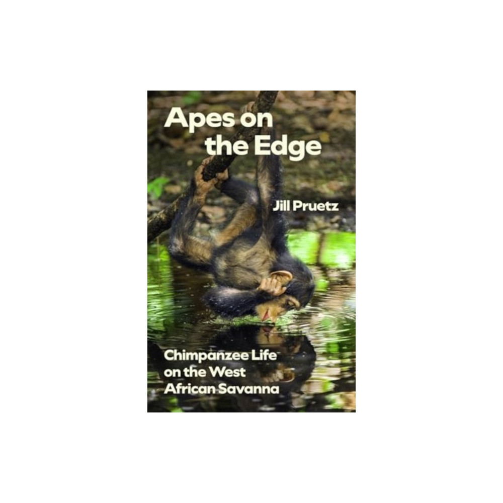 Produktbild för Apes on the Edge (häftad, eng)