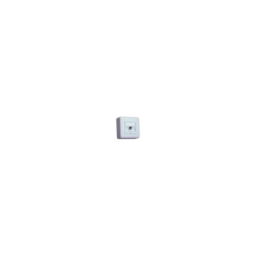 Produktbild för BTR IT CONNECT E-DAT modul 8(8) AP - ytmonterat uttag