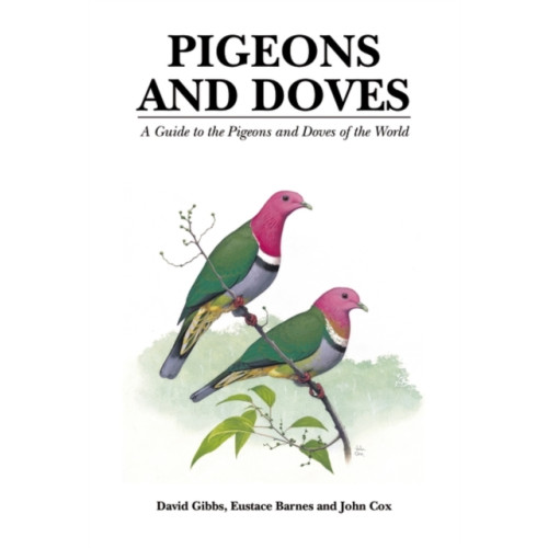 Bloomsbury Publishing PLC Pigeons and Doves (inbunden, eng)