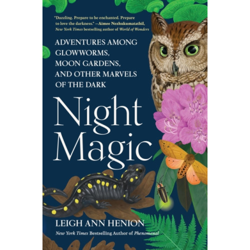 Workman Publishing Night Magic (inbunden, eng)