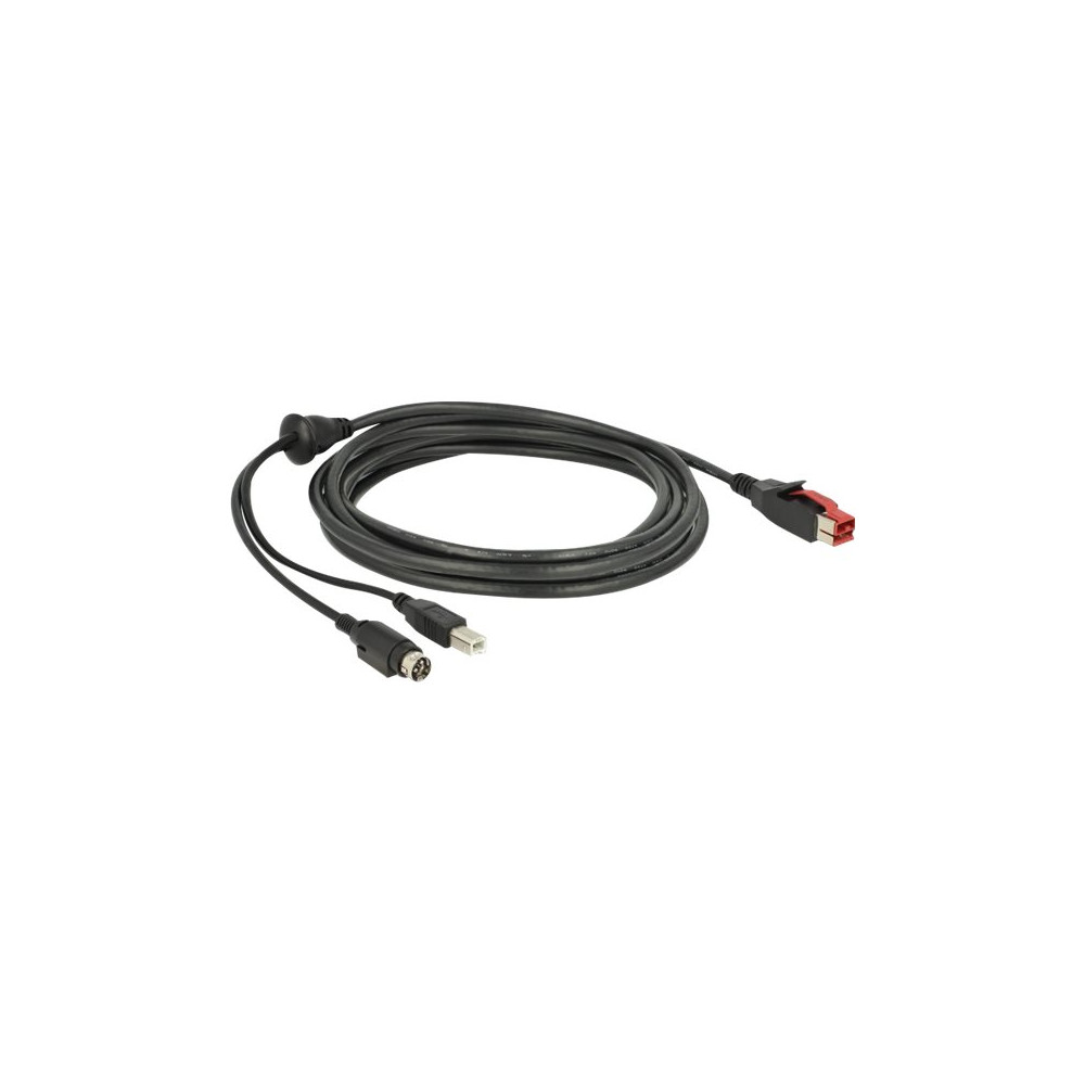 Produktbild för Delock - USB-kabel med egen strömförsörjning - 3 m