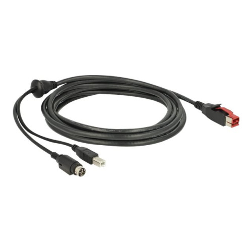 DeLOCK Delock - USB-kabel med egen strömförsörjning - 3 m