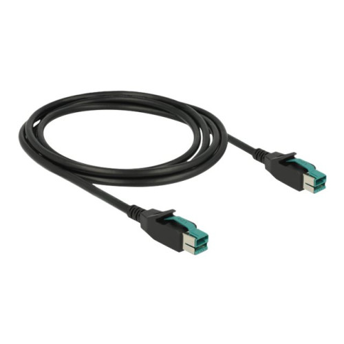 DeLOCK Delock - USB-kabel med egen strömförsörjning - USB PlusPower (12 V) till USB PlusPower (12 V) - 2 m