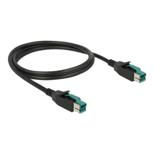 DeLOCK Delock - USB-kabel med egen strömförsörjning - USB PlusPower (12 V) till USB PlusPower (12 V) - 1 m