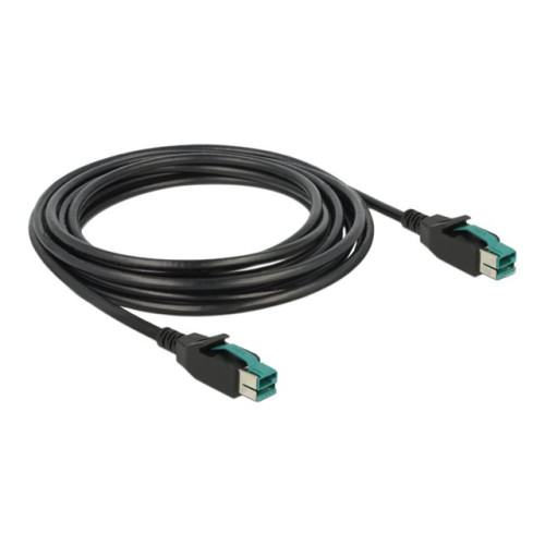 DeLOCK Delock - USB-kabel med egen strömförsörjning - USB PlusPower (12 V) till USB PlusPower (12 V) - 4 m