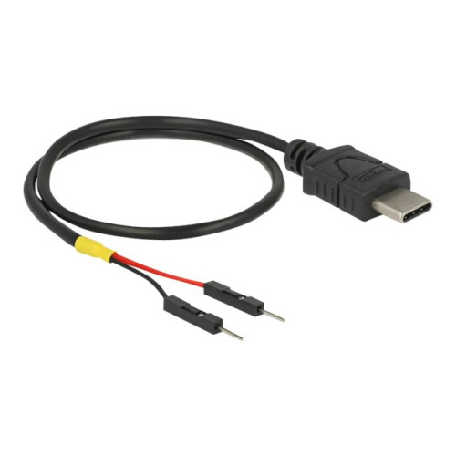 DeLOCK Delock - USB-/strömkabel - USB-C till 2-stifts USB-kontakt - 30 cm