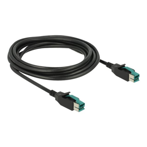 DeLOCK Delock - USB-kabel med egen strömförsörjning - USB PlusPower (12 V) till USB PlusPower (12 V) - 3 m