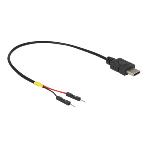 DeLOCK Delock - USB-/strömkabel - USB-C till 2-stifts USB-kontakt - 20 cm