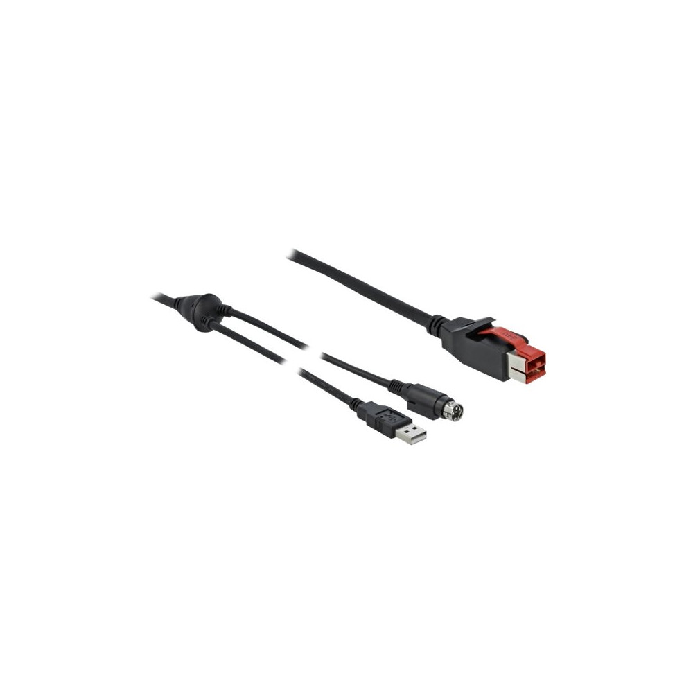 Produktbild för Delock - USB-kabel med egen strömförsörjning - 2 m